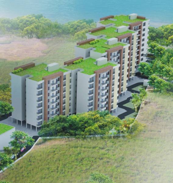 Elevation palms Elevation