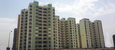  celebrity-meadows Elevation