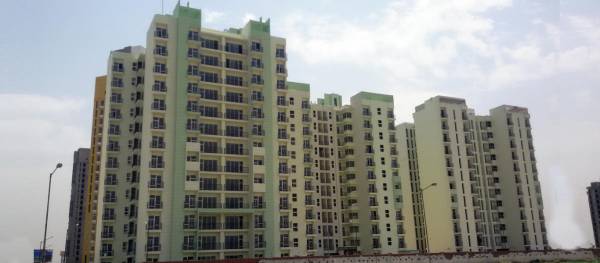  celebrity-meadows Elevation