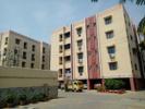 Kalpataru