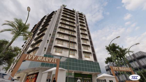  ivy-marvel Elevation