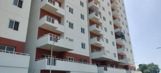 grove Elevation Elevation