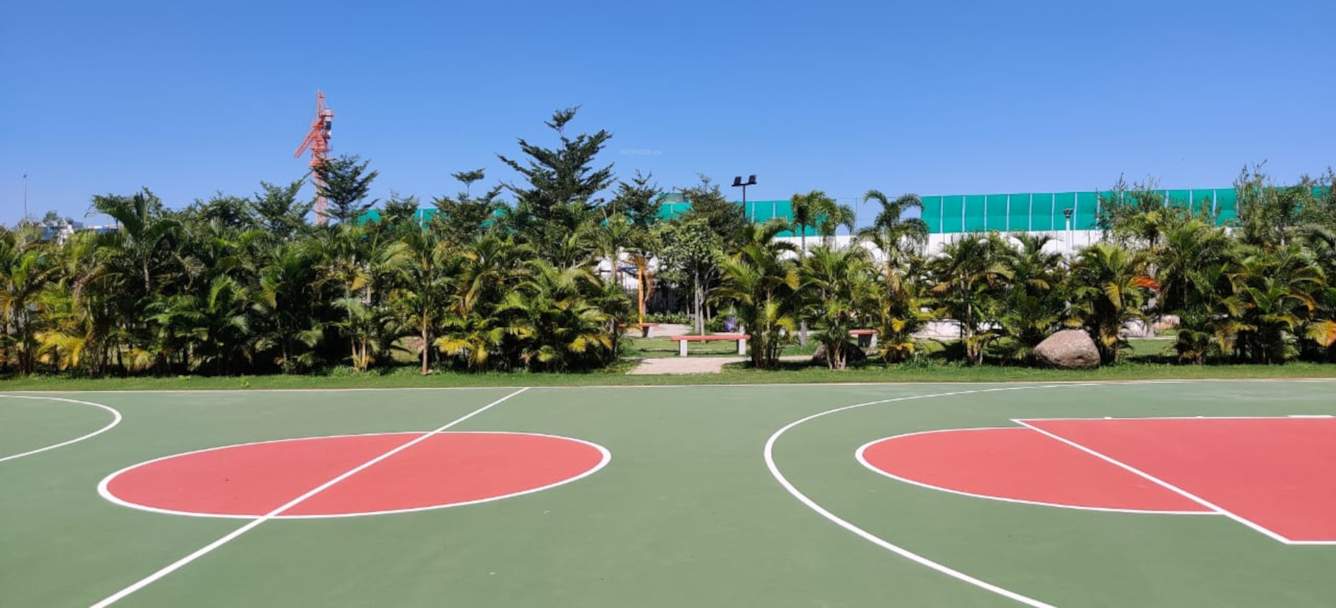 grove Basketball Court
