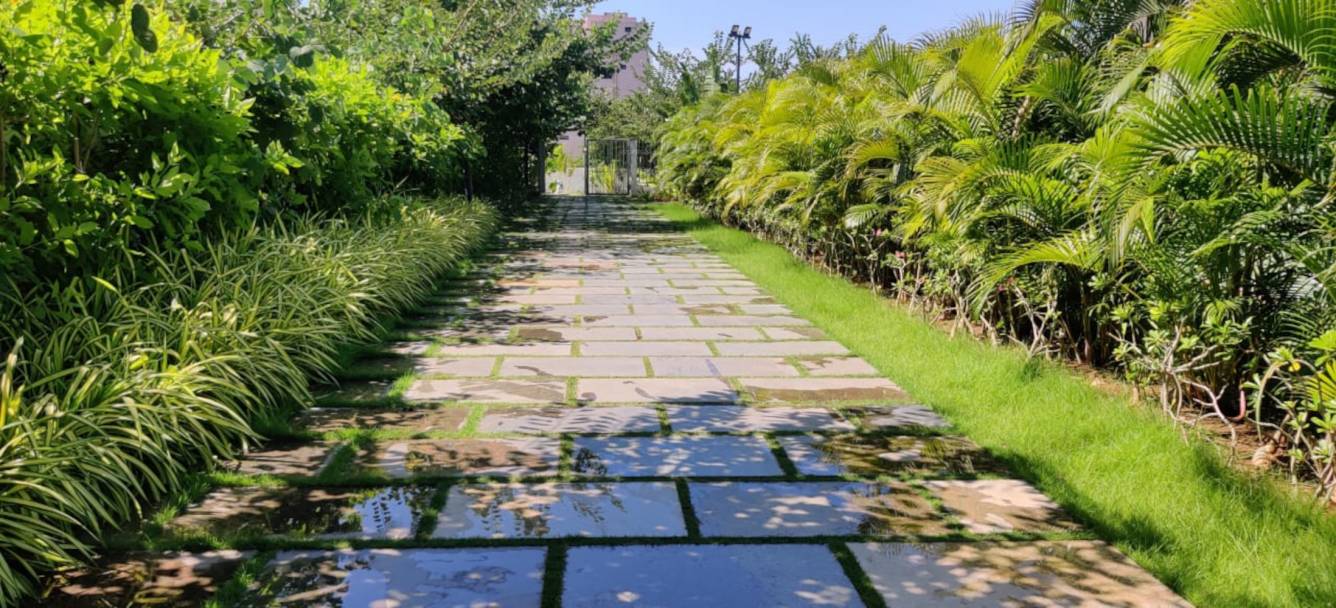 grove Internal Roads & Footpaths