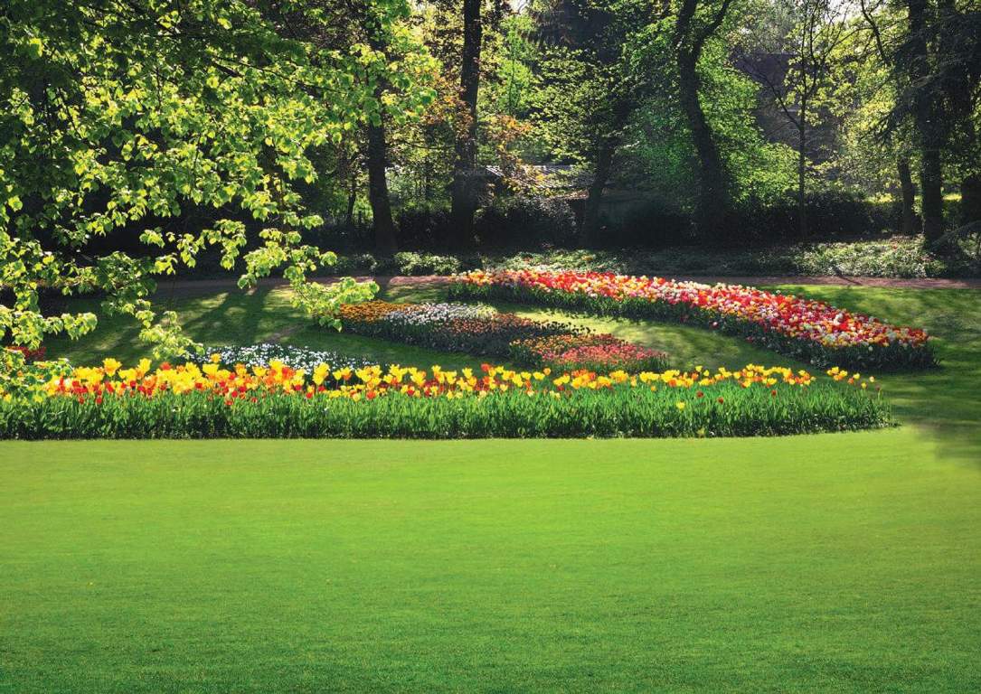 aqua coronet Images for Amenities of Monarch Aqua