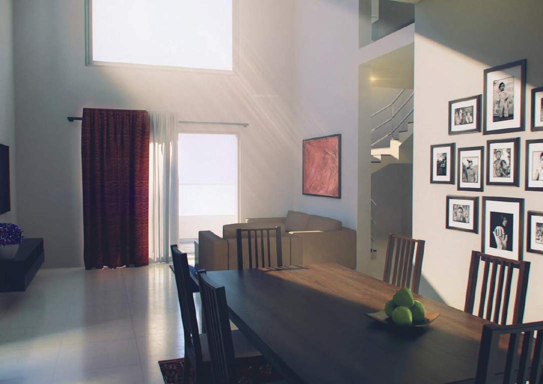 aqua coronet Images for Main Other of Monarch Aqua