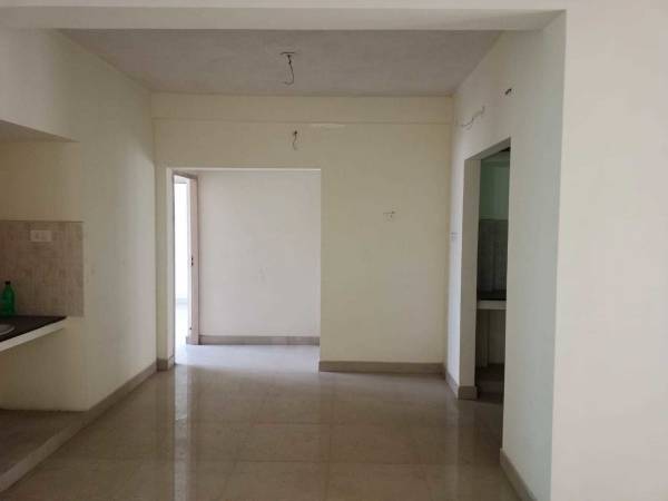 mainOther of Pace Anusa