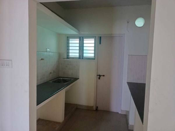 mainOther of Pace Anusa