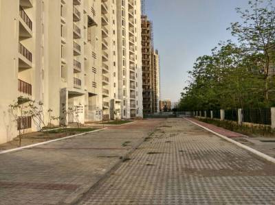 Paved Compound privilege-phase-1 Paved Compound