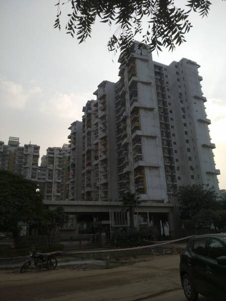  princess-park Images for Project