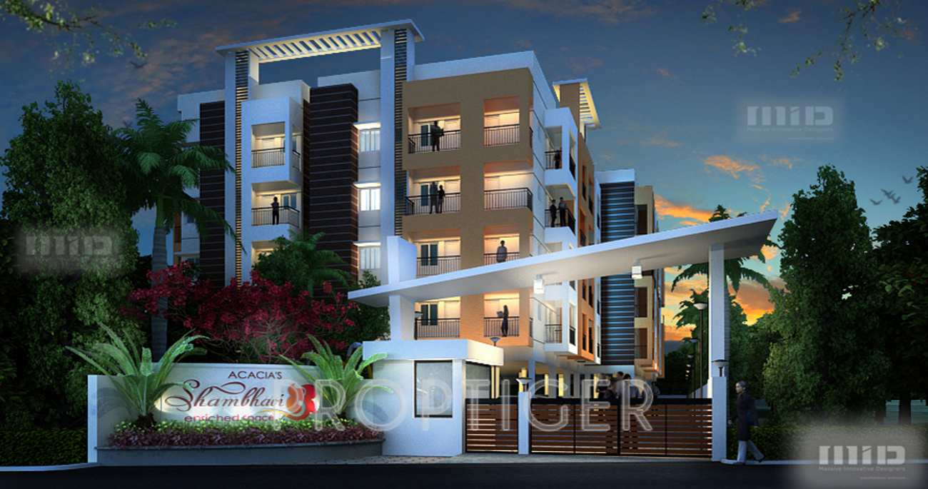 Images for Elevation of Acacia Shambhavi