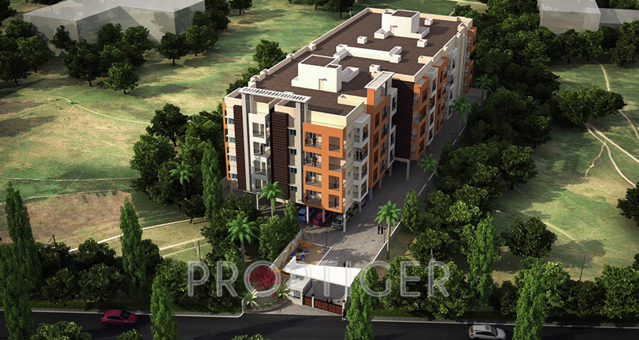 Images for Elevation of Acacia Shambhavi