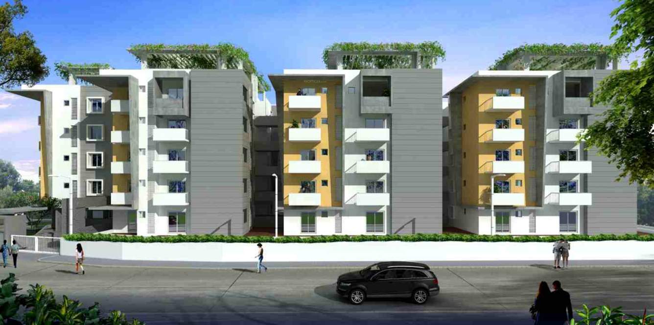  celestia Images for Elevation of Nakshatra Celestia