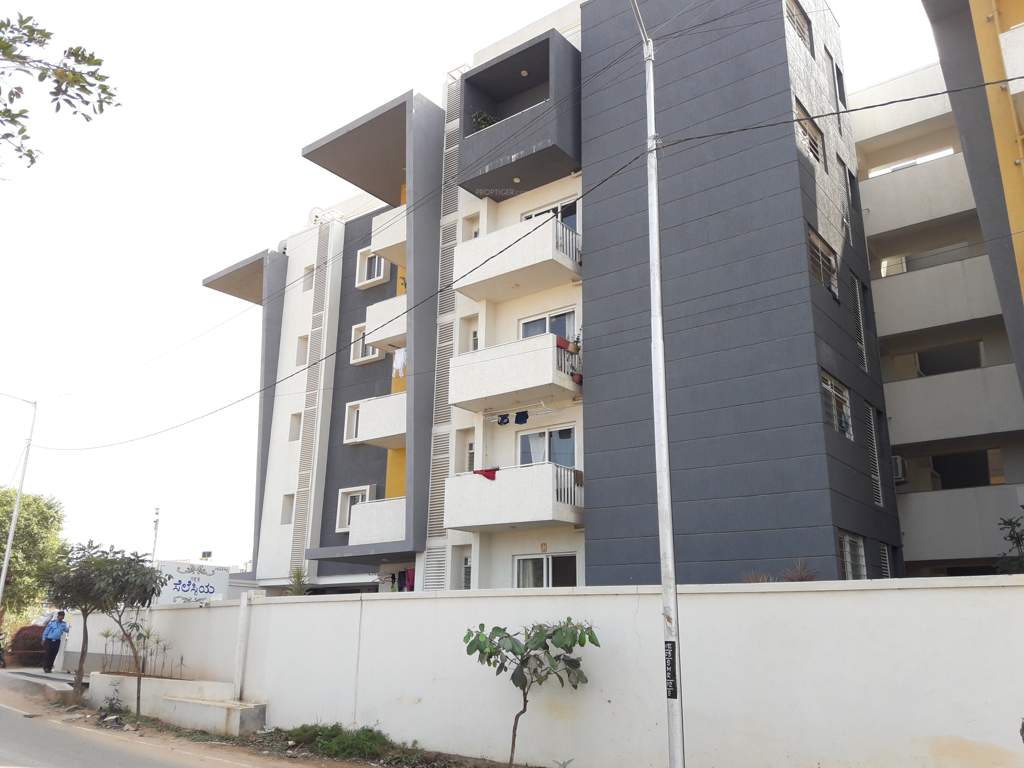  celestia Images for Project