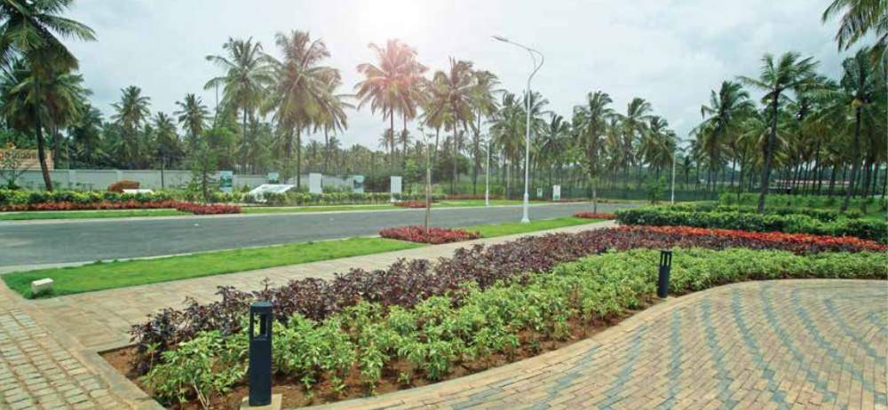 Images for Amenities of Cornerstone Campan Valley