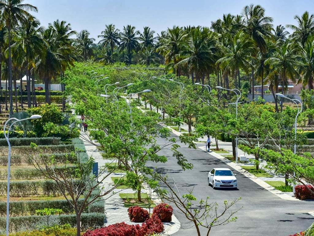 Images for Amenities of Cornerstone Campan Valley