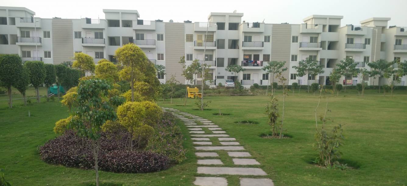  spring view floors Elevation