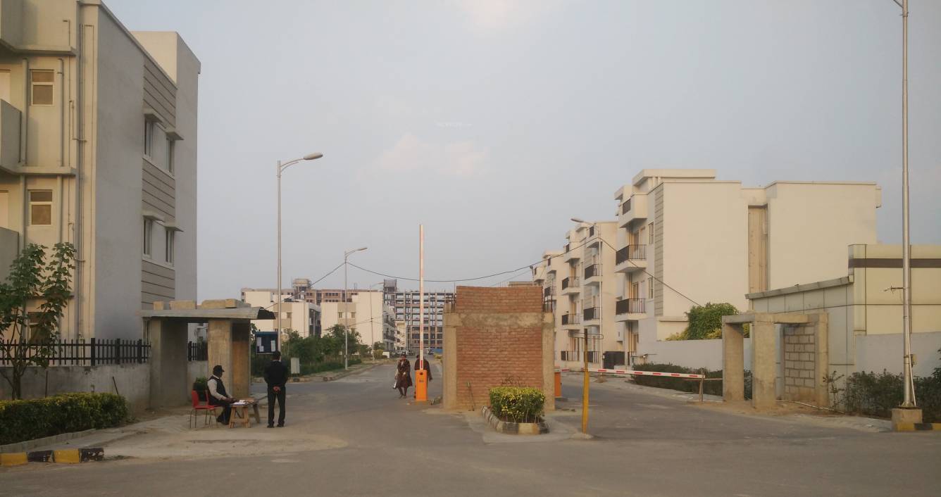  spring view floors Elevation