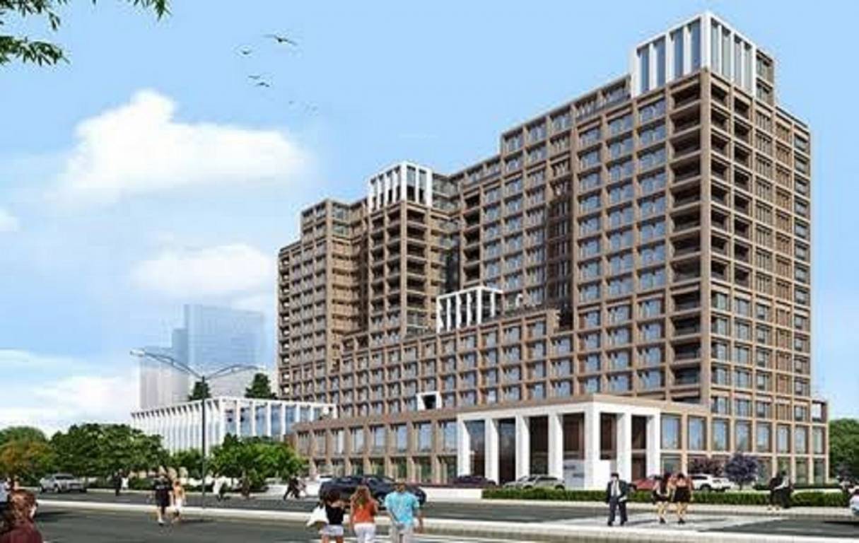  miraya rose Elevation