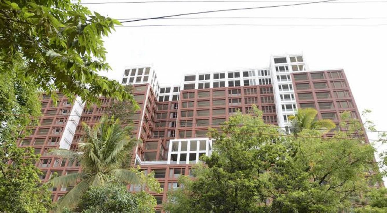  miraya rose Elevation