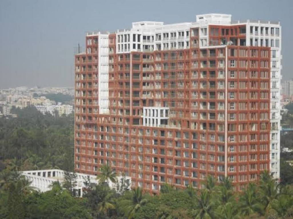  miraya rose Elevation