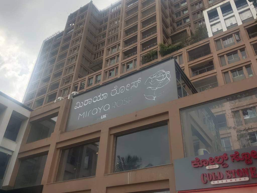  miraya rose Elevation