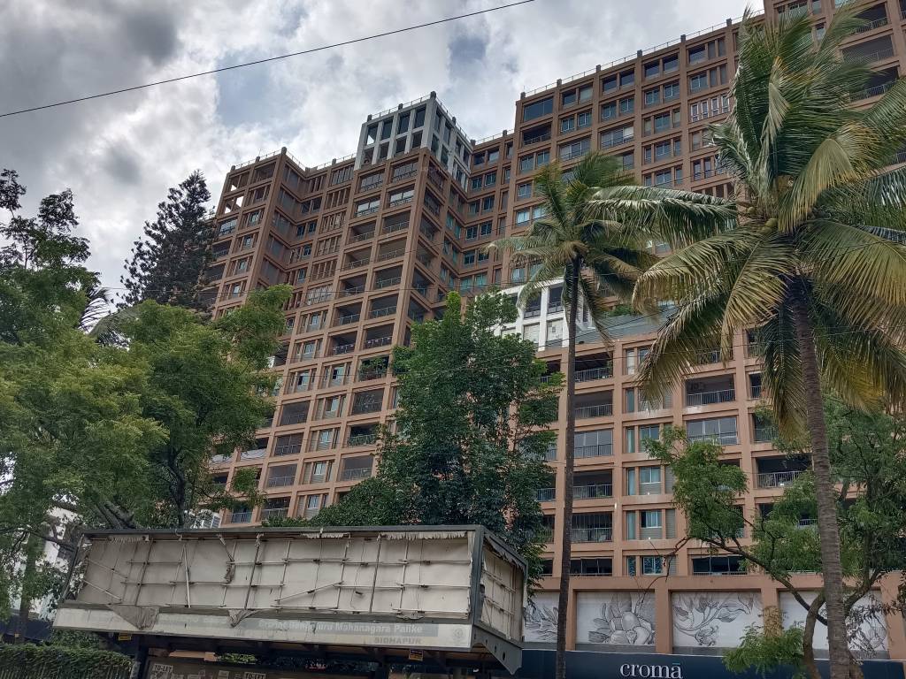  miraya rose Elevation