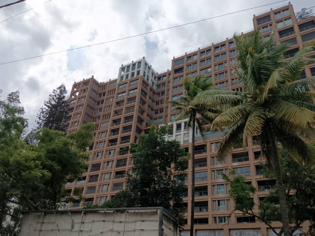  miraya rose Elevation