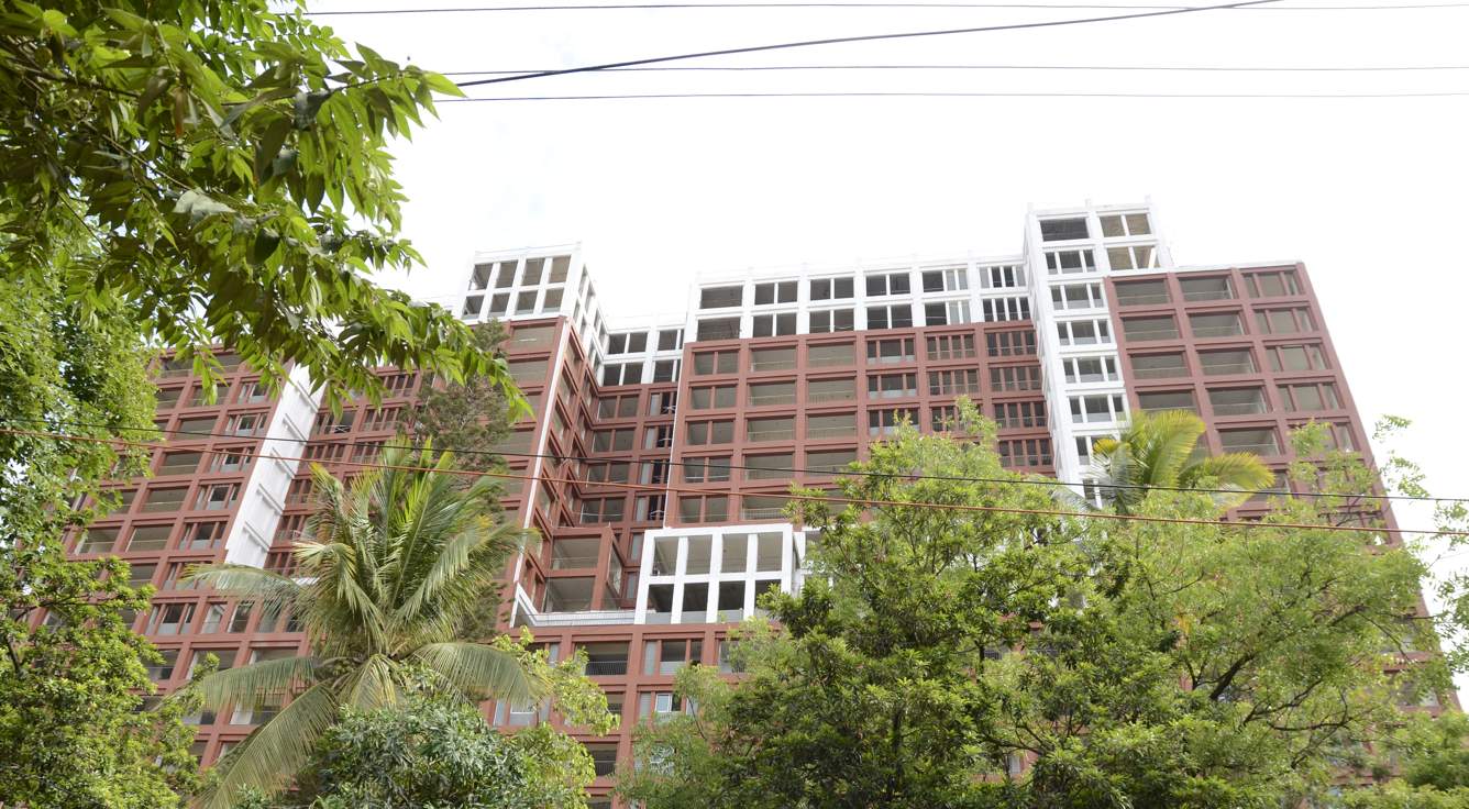  miraya rose Images for Elevation of UKN Miraya Rose