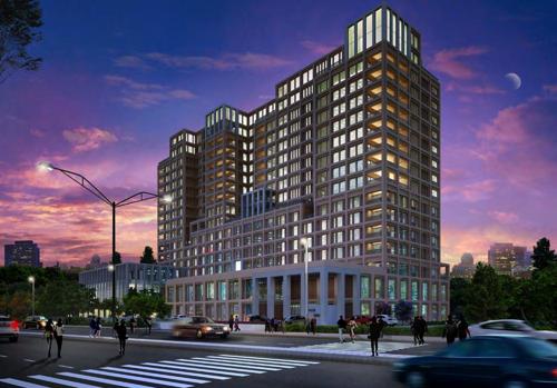  miraya-rose Images for Elevation of UKN Miraya Rose