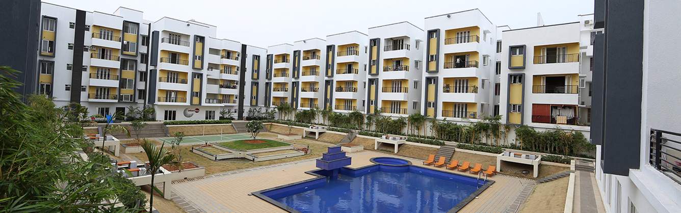  infinity Images for Elevation of Urban Tree Infinity