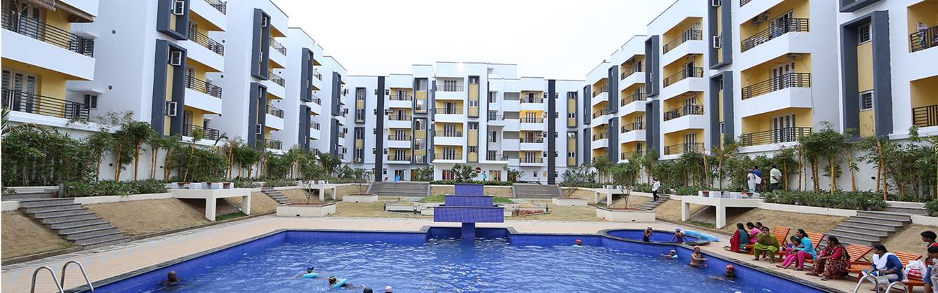  infinity Images for Elevation of Urban Tree Infinity