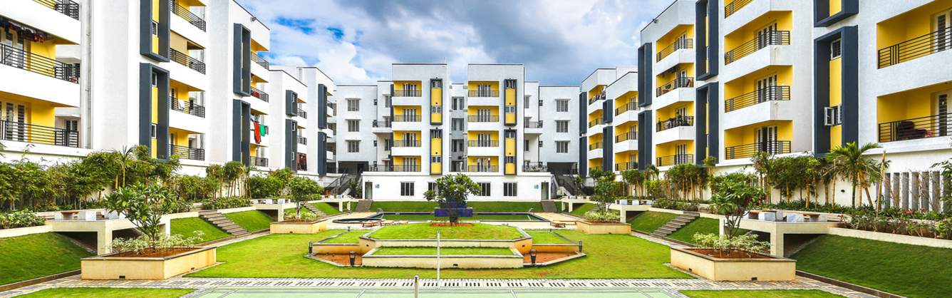  infinity Images for Elevation of Urban Tree Infinity