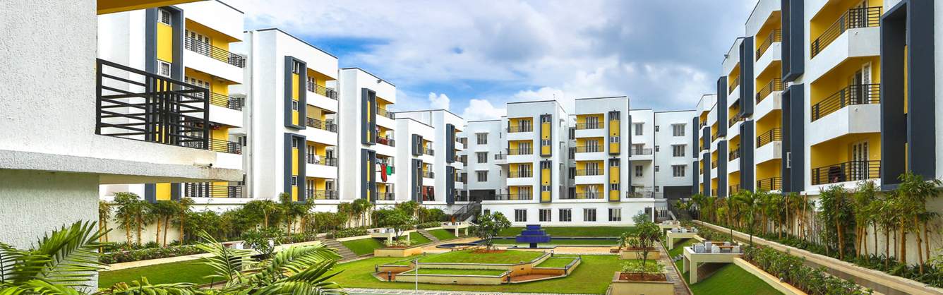  infinity Images for Elevation of Urban Tree Infinity