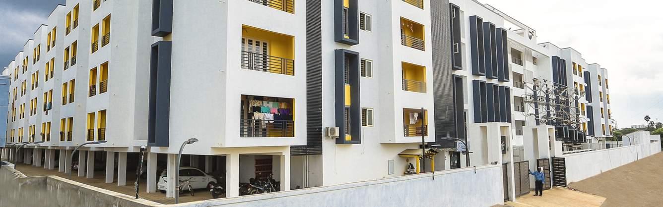  infinity Images for Elevation of Urban Tree Infinity