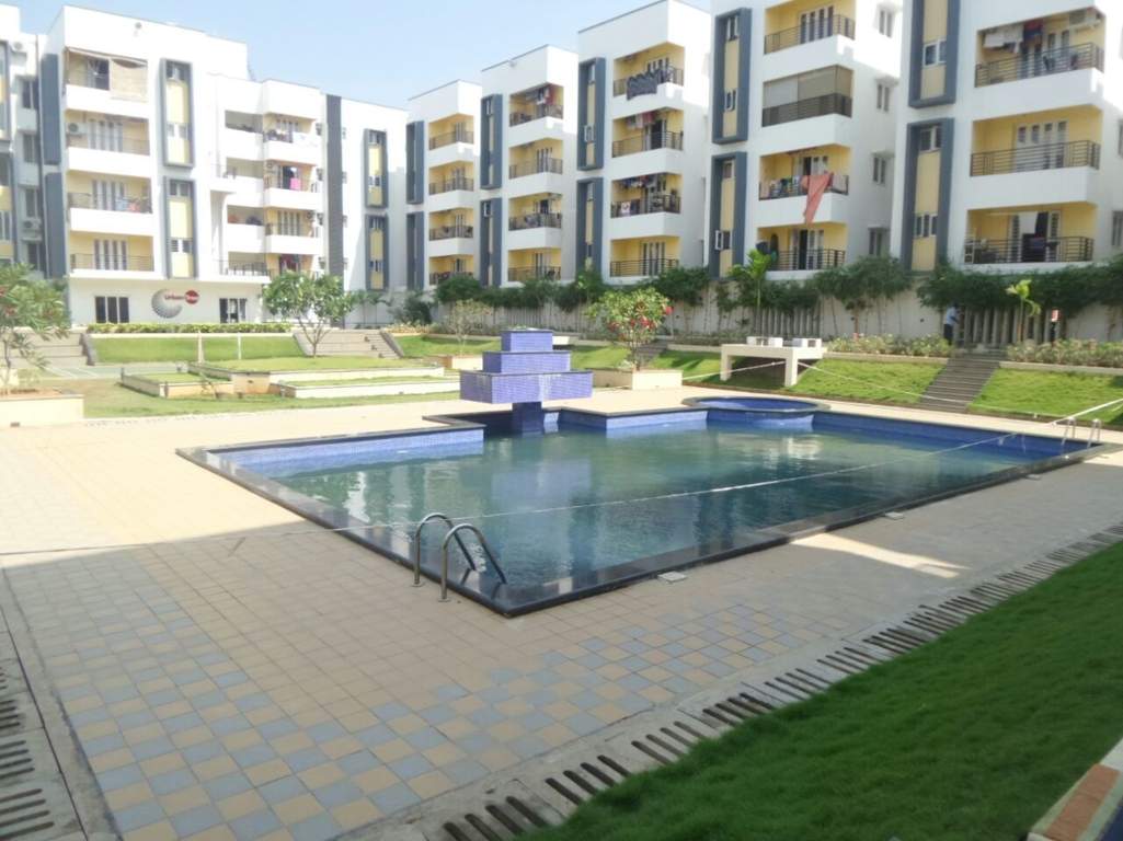  infinity Swimming Pool