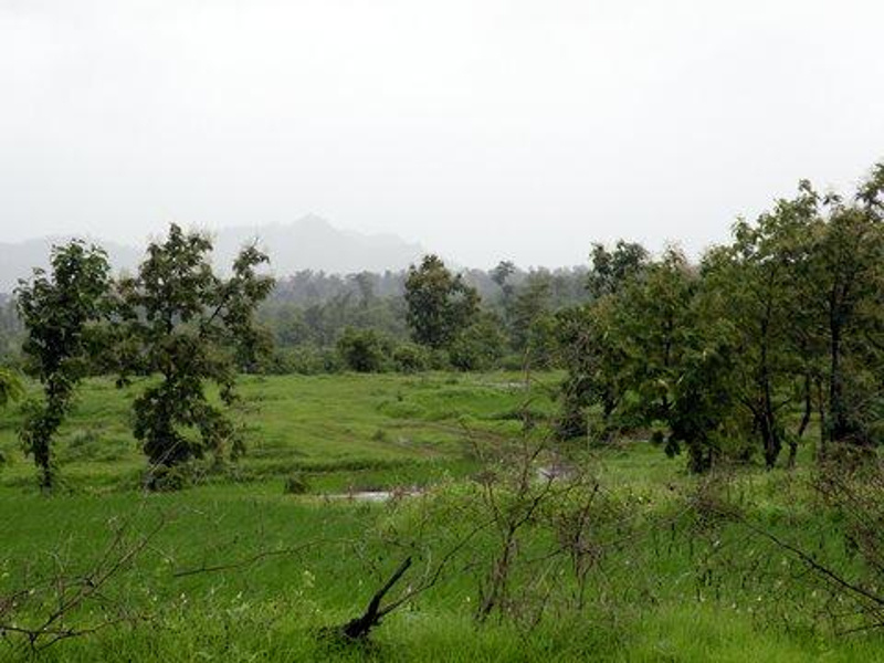 Images for Main Other of Disha Direct Waterfront