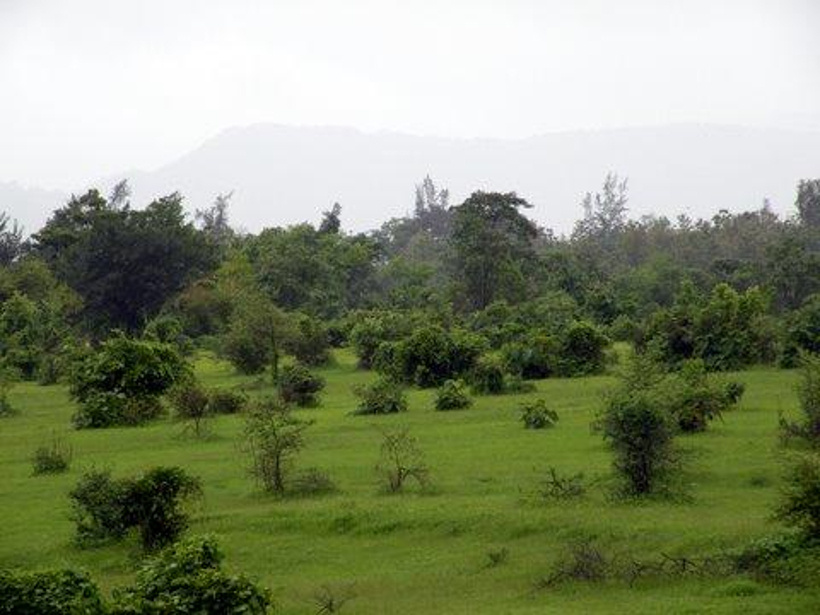 Images for Main Other of Disha Direct Waterfront