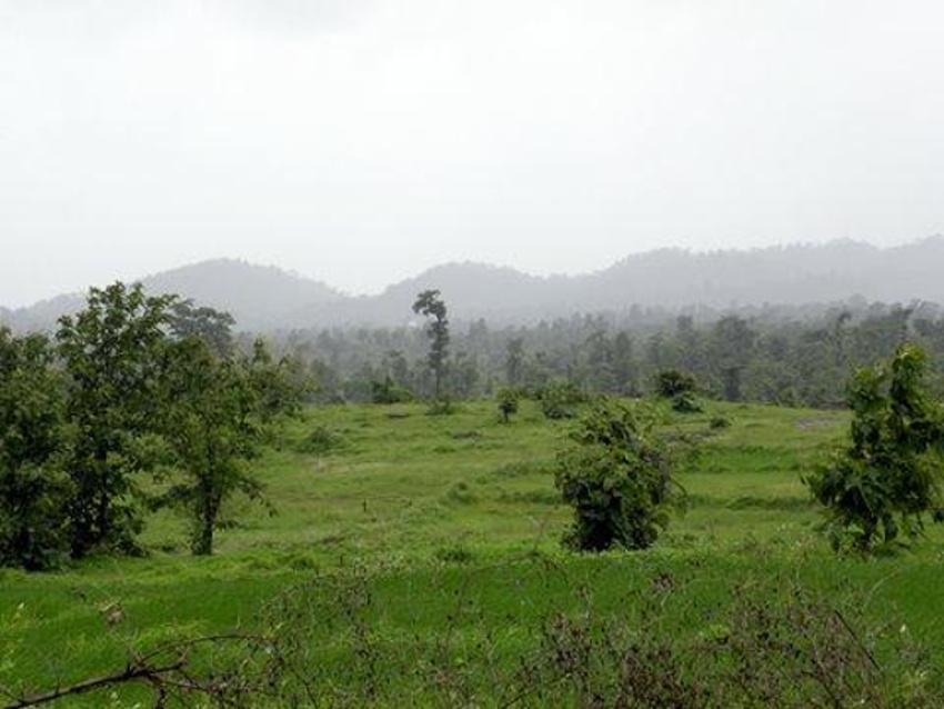 Images for Main Other of Disha Direct Waterfront