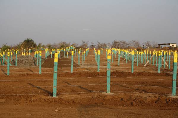 Images for Main Other of Disha Direct Waterfront