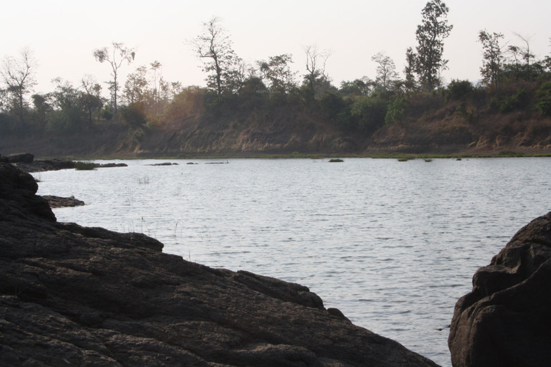 Images for Main Other of Disha Direct Waterfront