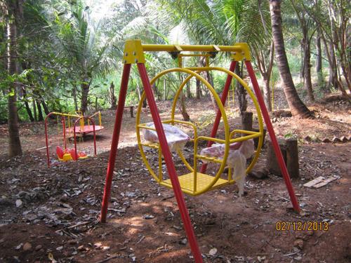 Images for Amenities of Disha Direct The Village