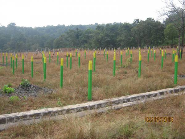 Images for Main Other of Disha Direct The Village