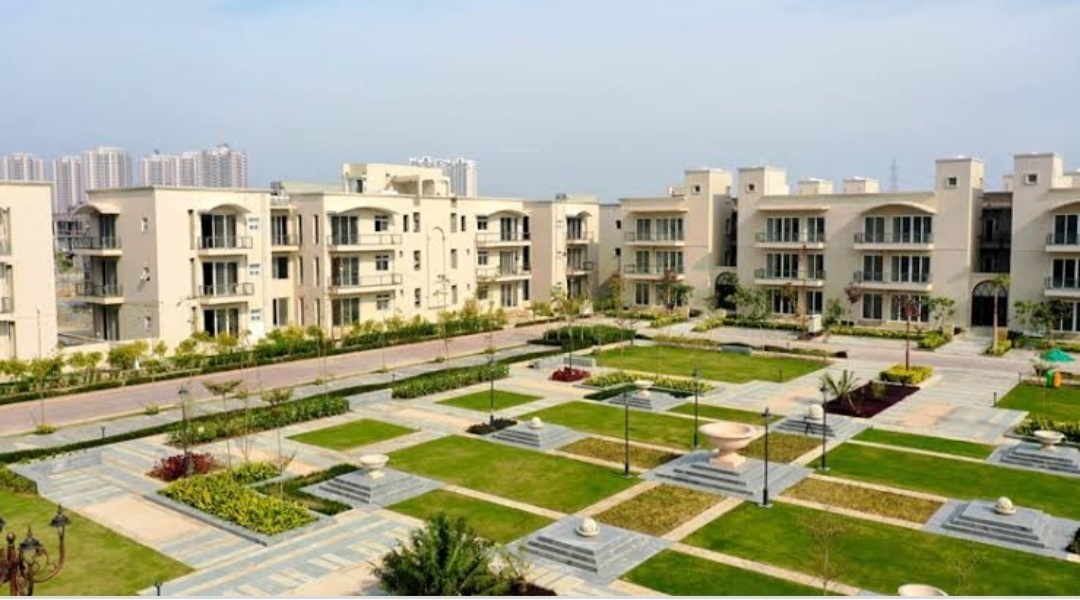  amstoria country floor Others