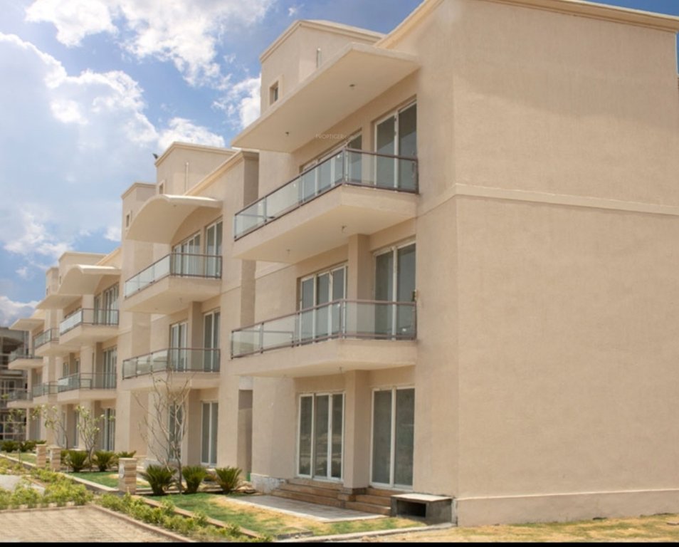  amstoria country floor Others