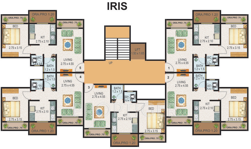 Images for Cluster Plan of Dalal Springwoods