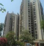 Elevation  terraces Elevation