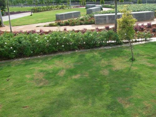 Images for Amenities of Aparna Kanopy Lotus kanopy-lotus Images for Amenities of Aparna Kanopy Lotus