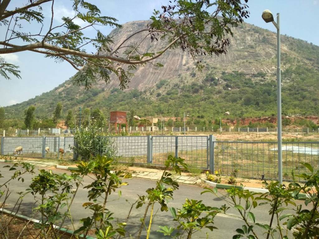 Images for Main Other of DivyaSree Base Camp