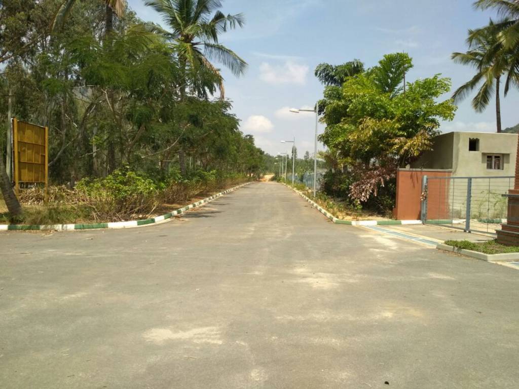 Images for Main Other of DivyaSree Base Camp